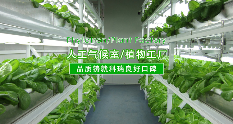 2-http://www.jiayuputaojiu.com/uploads/190724/1-1ZH416094V41.jpg